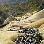 מלון Il Castelluccio